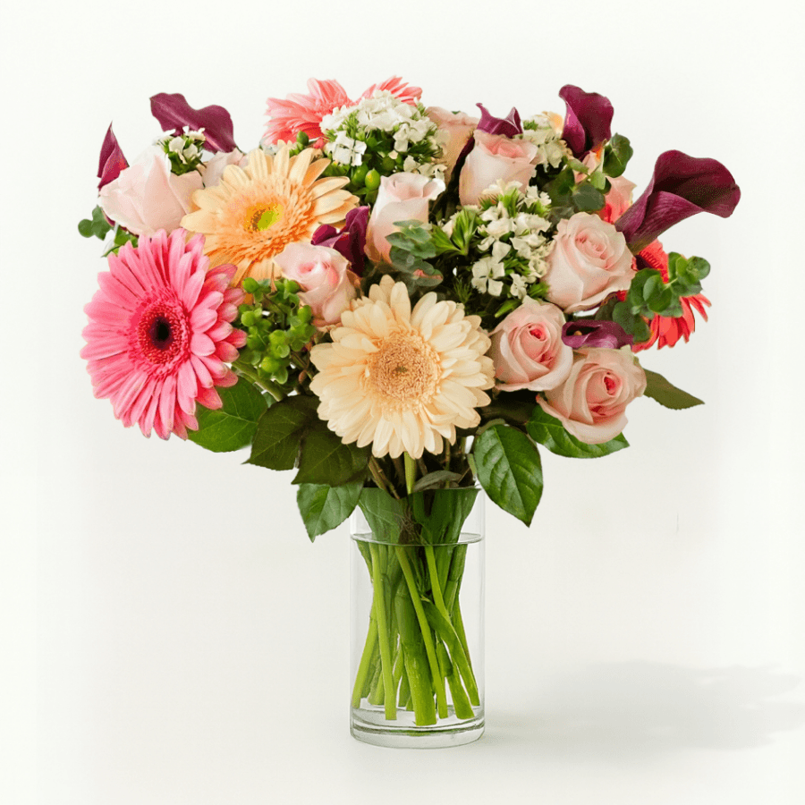 Premium Monthly Subscription