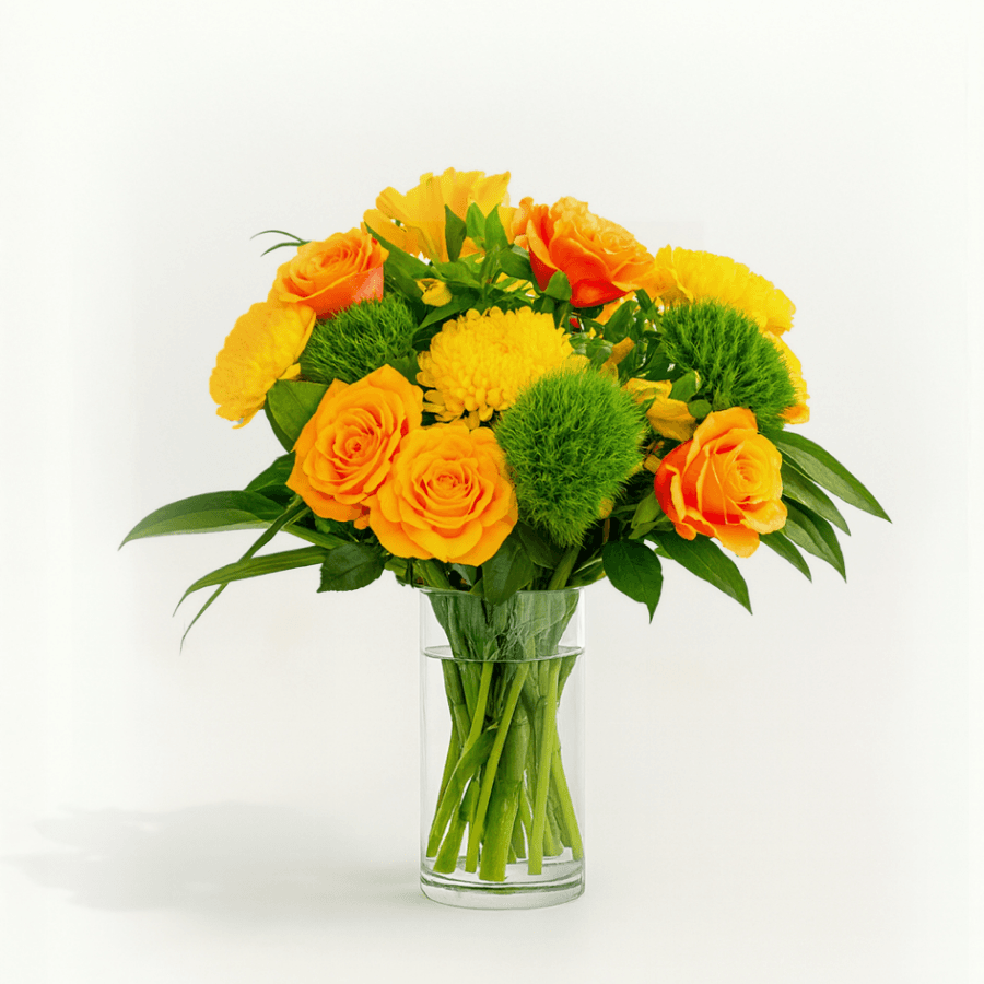 Standard Monthly Subscription